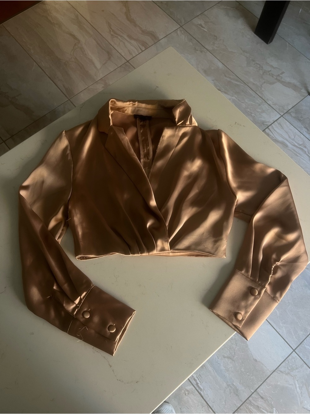 Dynamite Bronze Satin Crop Blouse